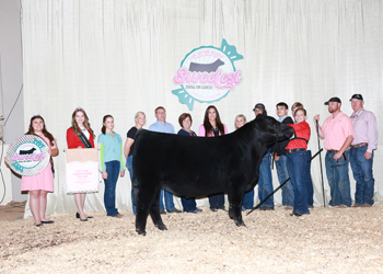 Grand Champion Steer