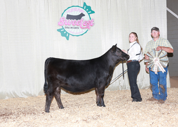 PGS Reserve Heifer Division 2