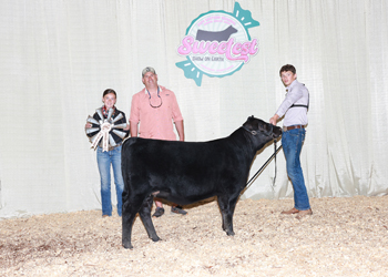 PGS Reserve Heifer Division 1