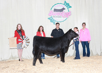 Owned Reserve Senior Heifer Calf Champion