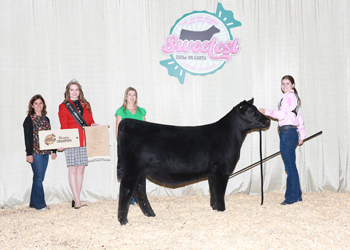 Owned Senior Heifer Calf Champion