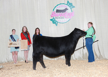 Owned Intermediate Champion Heifer