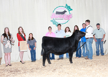 Bred-and-owned Reserve Senior Heifer Calf Champion