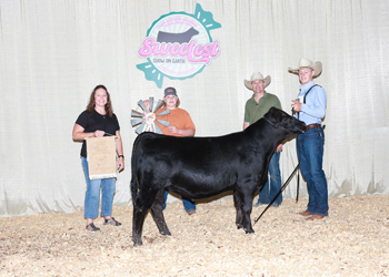 Bred-and-owned Reserve Senior Bull Calf Champion