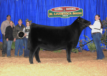 Grand Champion Owned Female