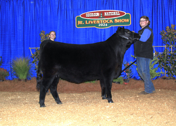 Reserve Grand Champion Bred-and-owned Female