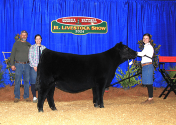 Grand Champion Bred-and-owned Female