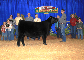 Reserve Grand Champion Owned Female