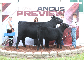 Reserve Grand Champion Cow-calf Pair