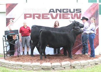 Grand Champion Cow-calf Pair