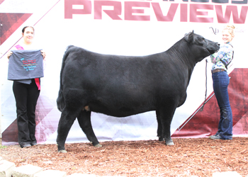 Owned Reserve Senior Champion Female