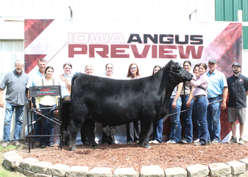 Grand Champion Owned Female