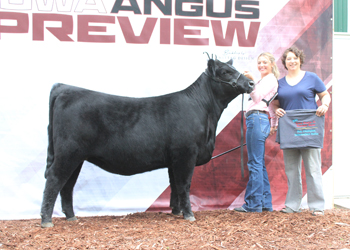 Owned Reserve Intermediate Champion Heifer