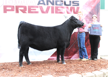 Owned Early Junior Champion Heifer