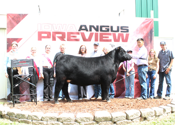 Grand Champion Bred-and-owned Female