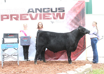 Reserve Grand Champion Bred-and-owned Bull