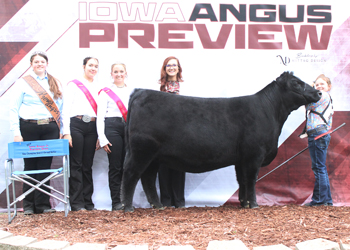 Reserve Grand Champion Bred-and-owned Female