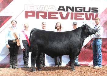 Reserve Grand Champion Steer