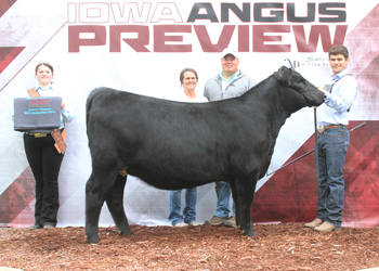 Bred-and-owned Reserve Intermediate Champion Heifer