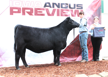 Owned Late Junior Champion Heifer