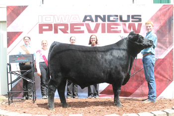 Grand Champion Bred-and-owned Steer