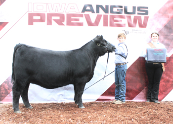 Bred-and-owned Reserve Junior Champion Heifer