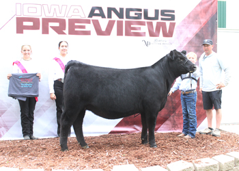 Owned Reserve Senior Heifer Calf Champion