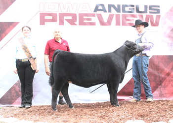 Bred-and-owned Reserve Senior Heifer Calf Champion