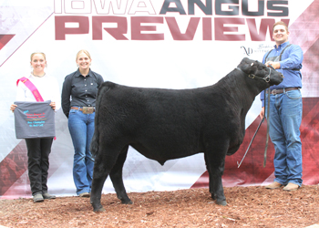 Bred-and-owned Reserve Senior Bull Calf Champion