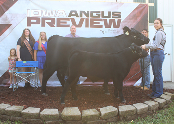 Reserve Grand Champion Cow-calf Pair