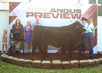 Grand Champion Cow-calf Pair