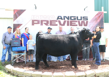 Reserve Grand Champion Female