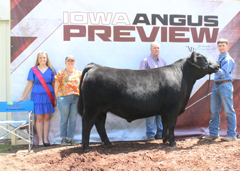 Reserve Grand Champion Steer