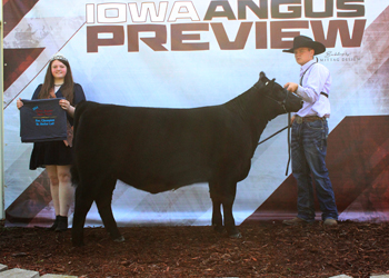 Reserve Senior Heifer Calf Champion