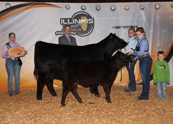 Grand Champion Cow-calf Pair