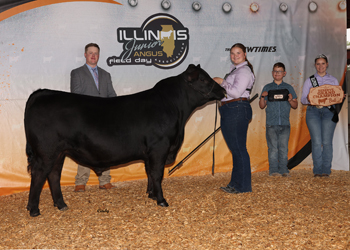 Reserve Grand Champion Bred-and-owned Bull