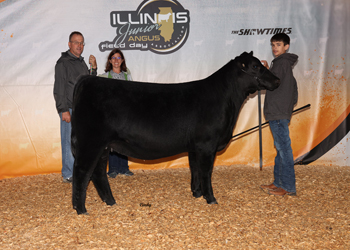 Bred-and-owned Reserve Intermediate Champion Heifer