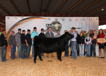 Reserve Grand Champion Owned Female