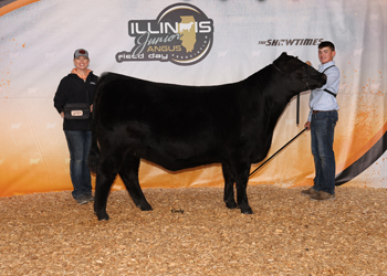 Owned Reserve Early Junior Champion Heifer