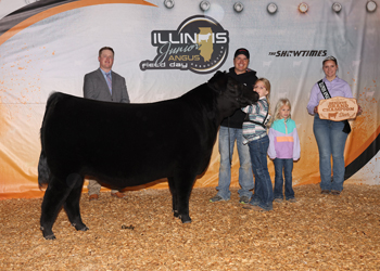 Reserve Grand Champion Steer