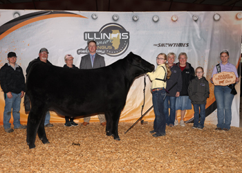 Grand Champion Steer