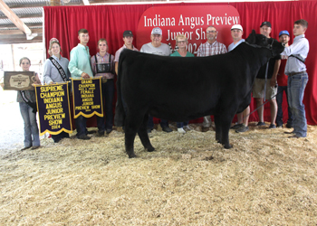 Grand Champion Bred-and-owned Female