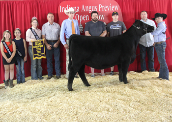 Reserve Grand Champion Female