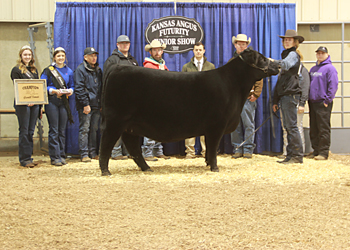 Grand Champion Owned Female