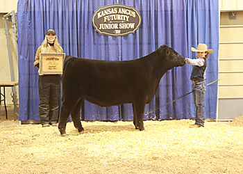 Grand Champion Steer