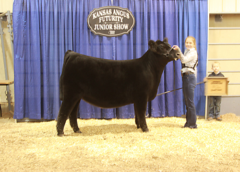 Reserve Grand Champion Owned Female