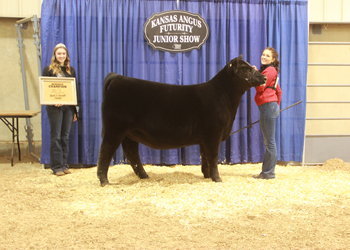 Reserve Grand Champion Bred-and-owned Female