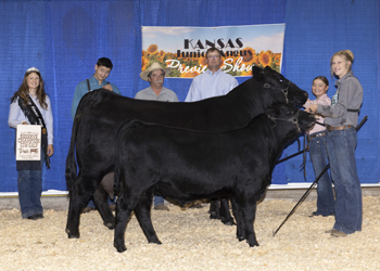 Reserve Grand Champion Cow-calf Pair