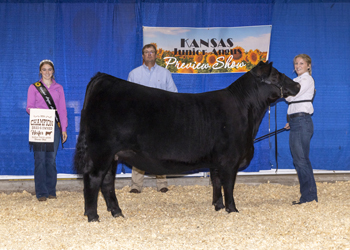 Grand Champion Bred-and-owned Female