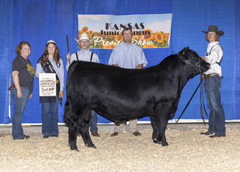 Grand Champion Bred-and-owned Bull